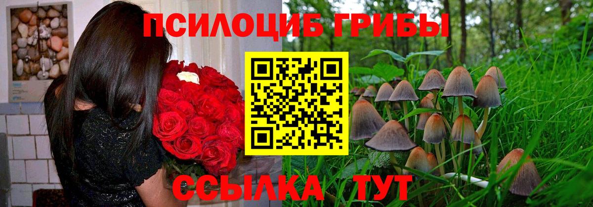 Строитель  Псилоцибиновые грибы ЛСД  купить закладку  Вход с VPN 