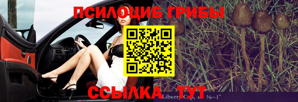 Галлюциногенные грибы Cubensis Строитель